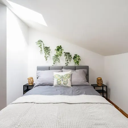 Centrum - Are Welcome! *